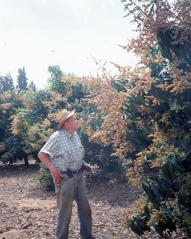 תמונה 6 מתוך משתלת אוהד